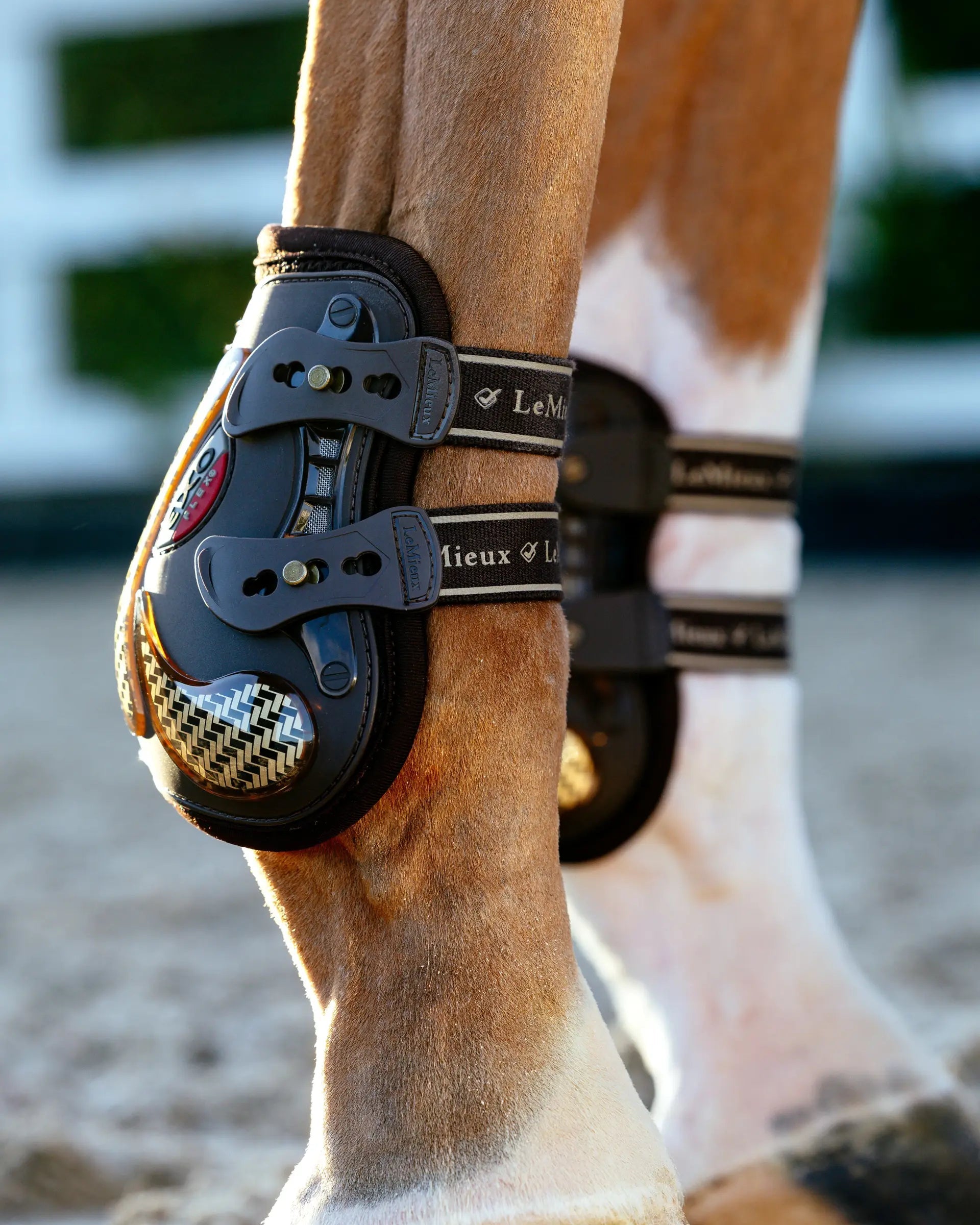 LeMieux Exo-Flex Ankle Boots: Brown & Gold Equine Fetlock Boots for Protection & Support. Horse Boots.