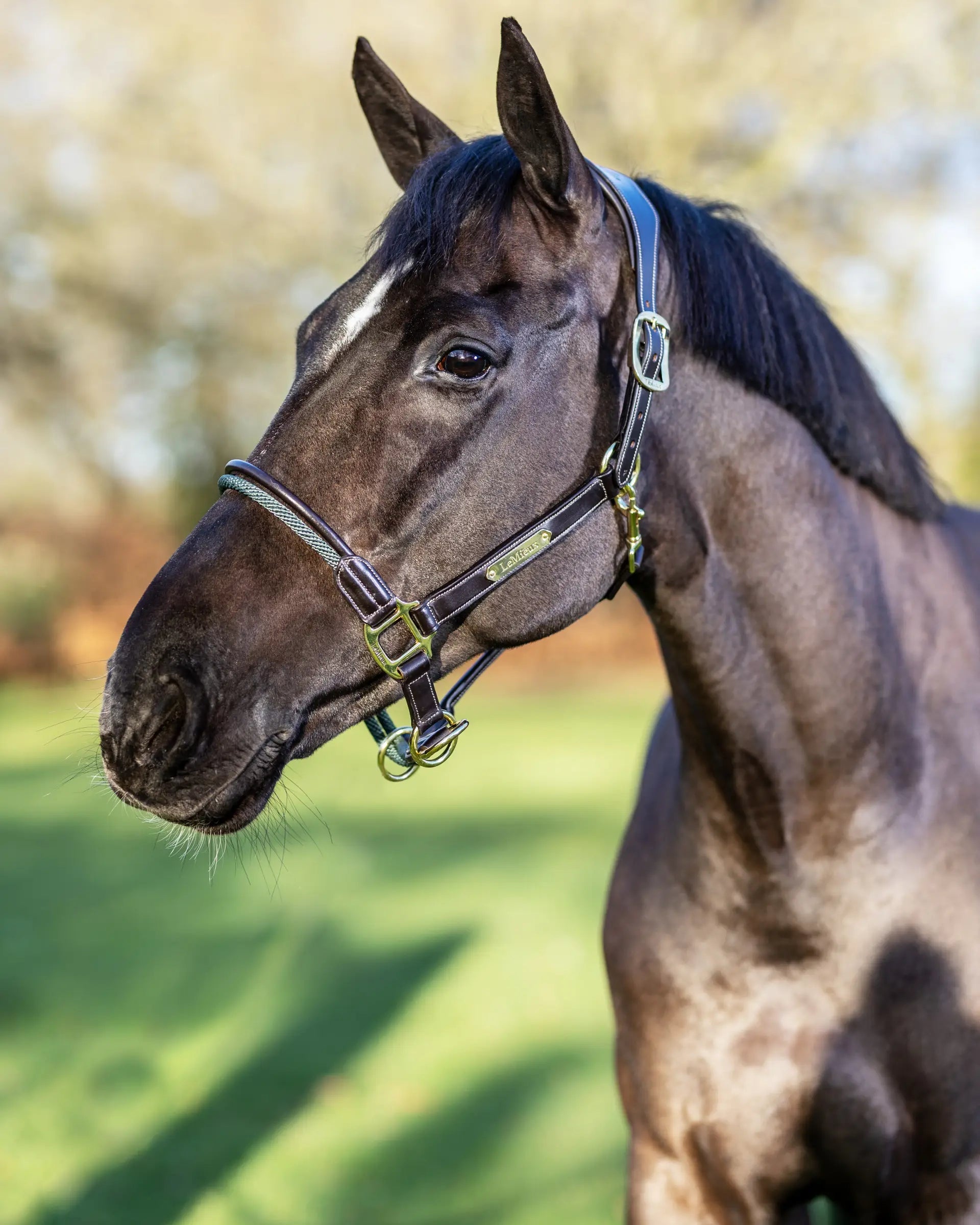 LeMieux Rope Control Headcollar Brown