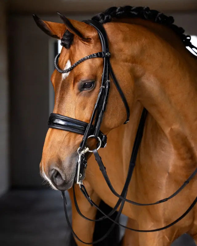 LeMieux Kudos Double Bridle Black