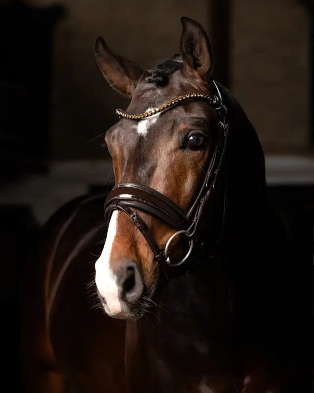 LeMieux Kudos Patent Dressage Bridle Brown