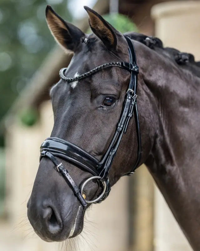 LeMieux Kudos Patent Dressage Bridle Black