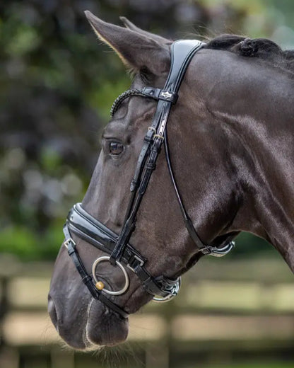 LeMieux Kudos Patent Dressage Bridle Black