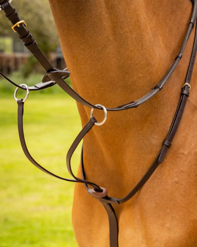 LeMieux Arika Running Martingale Brown/Silver