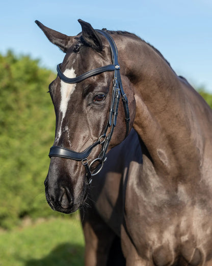 Elegant LEMIEUX Arika Drop Bridle in Black with Silver Fittings | Stylish Horse Tack from Equiflair