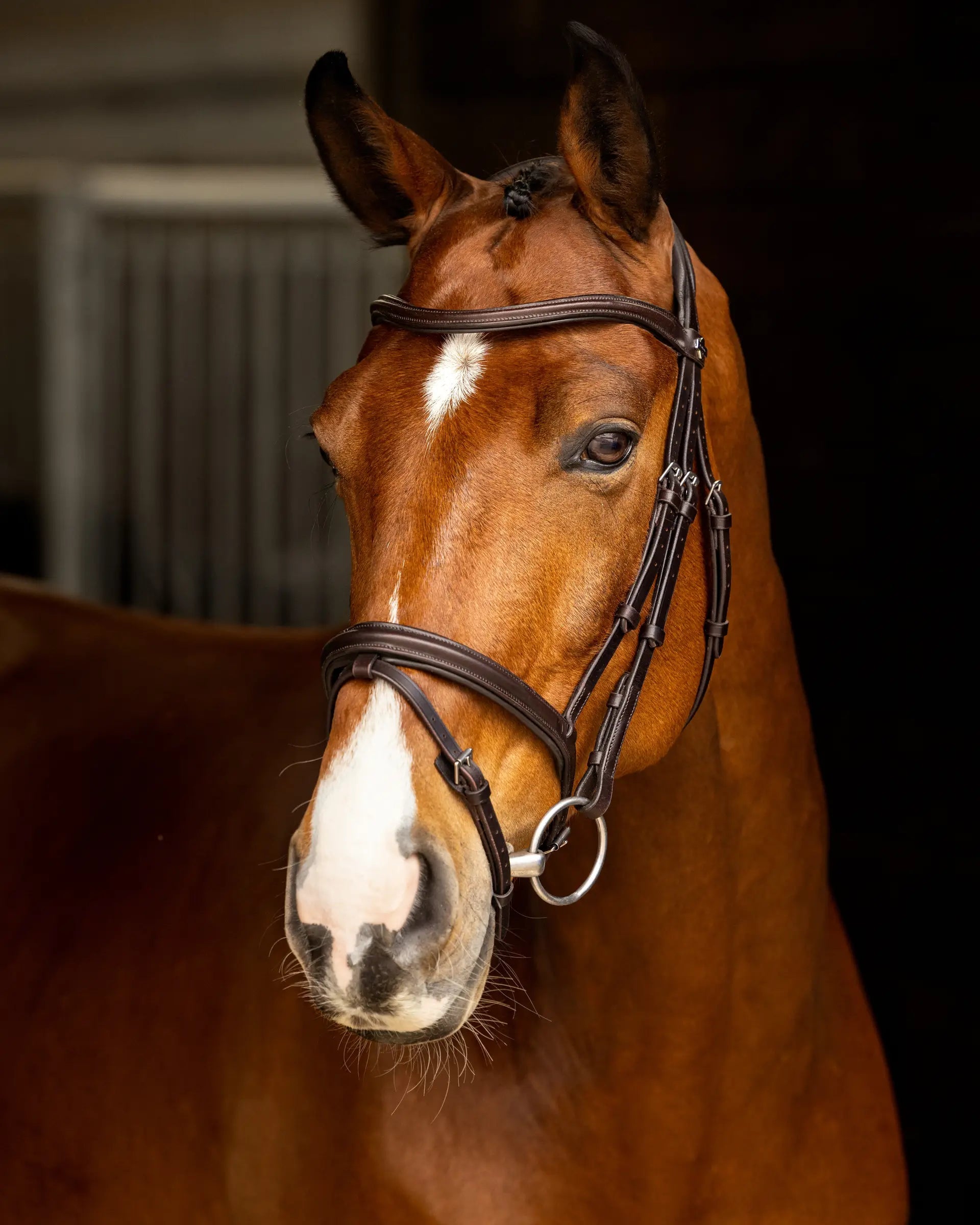 LEMIEUX ARIKA Flash Bridle - Brown Leather Horse Bridle with Silver Fittings