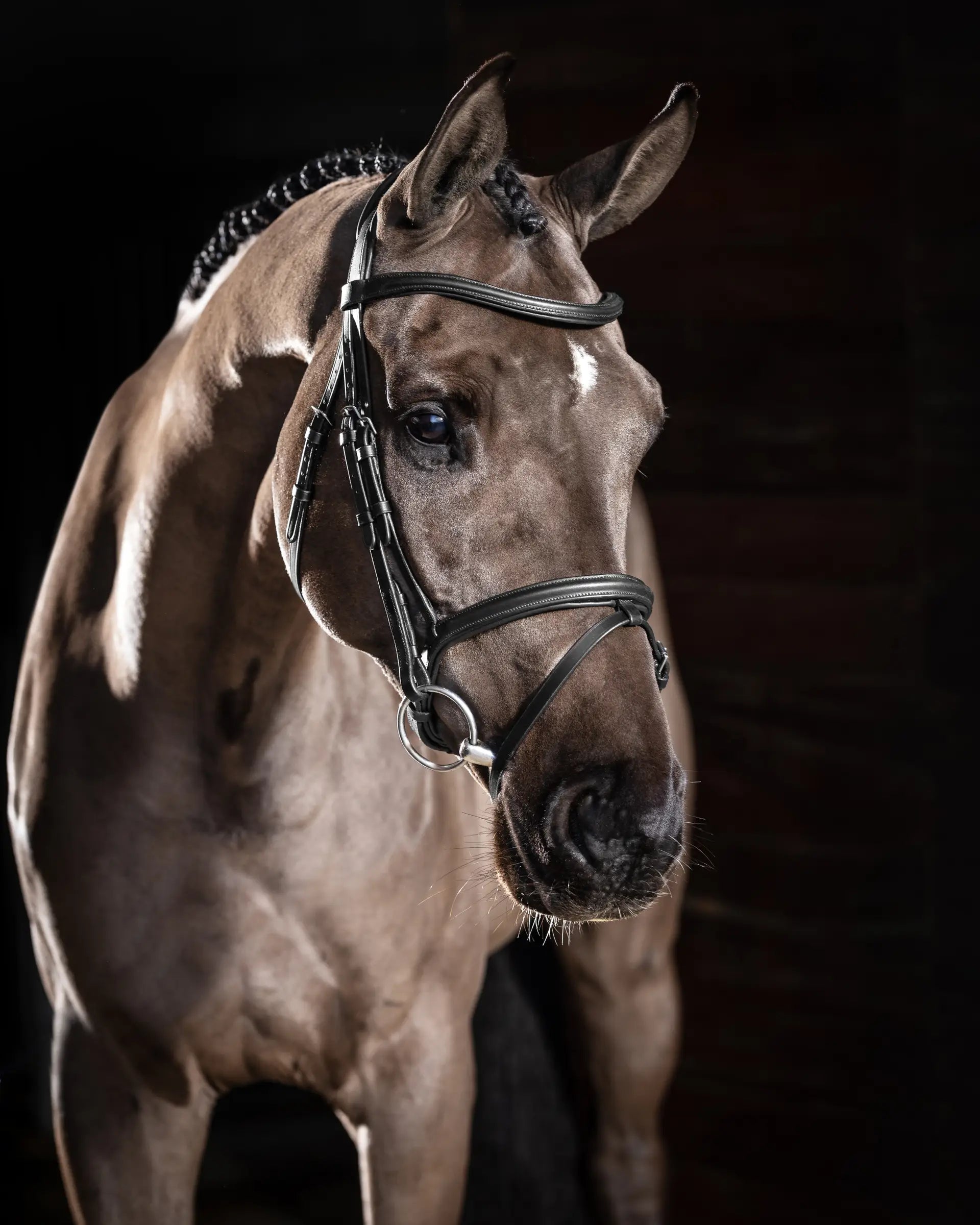 Lemieux Arika Flash Bridle - Black Horse Bridle with Silver Fittings