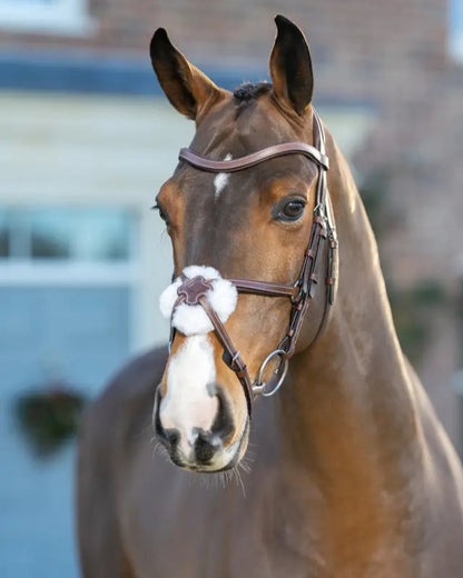 LEMIEUX ARIKA Grackle Bridle Havana/Silver - Equiflair Saddlery Horse Tack