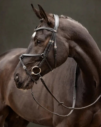 Lemieux Arika Grackle Bridle - Black Leather Horse Bridle with Silver Fittings