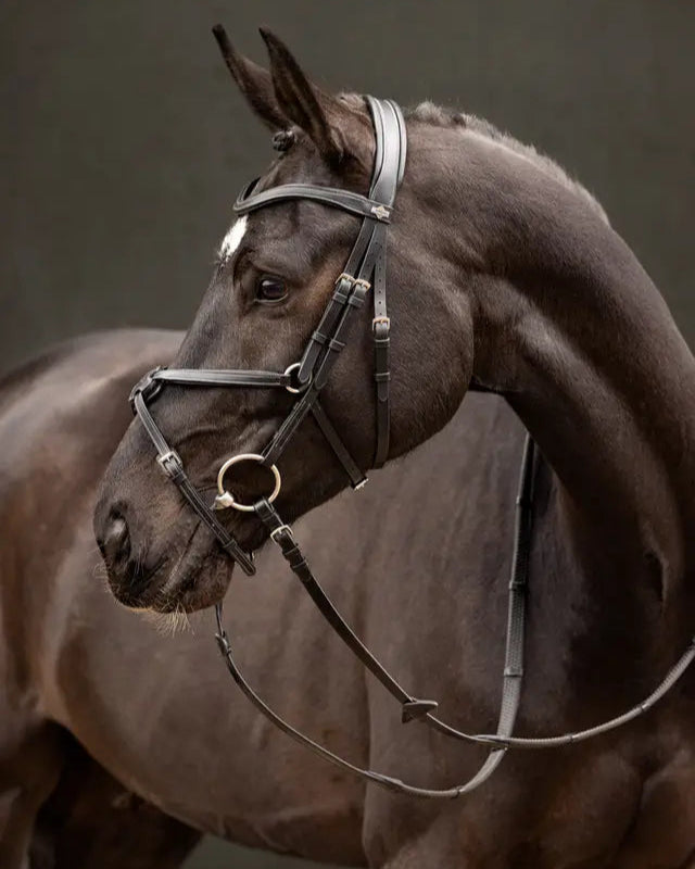 Lemieux Arika Grackle Bridle - Black Leather Horse Bridle with Silver Fittings