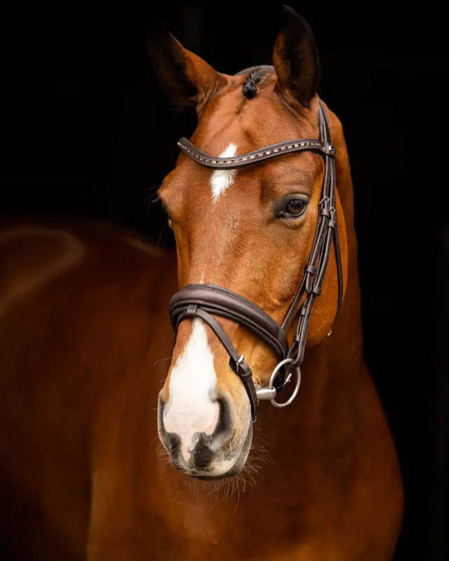 LeMieux Arika Dressage Bridle Brown/Silver