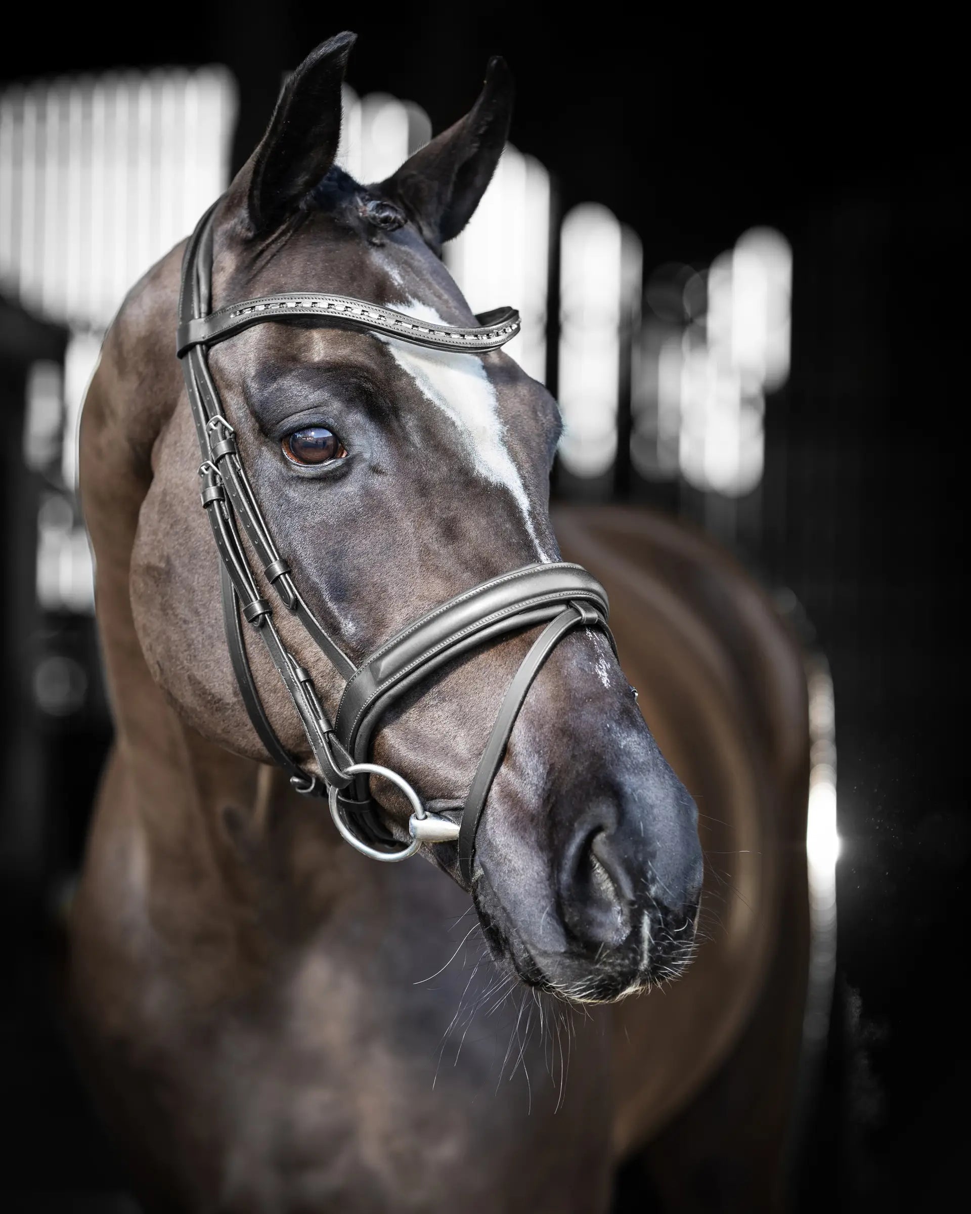 Elegant black horse dressage bridle with silver accents - LeMieux Arika Dressage Bridle
