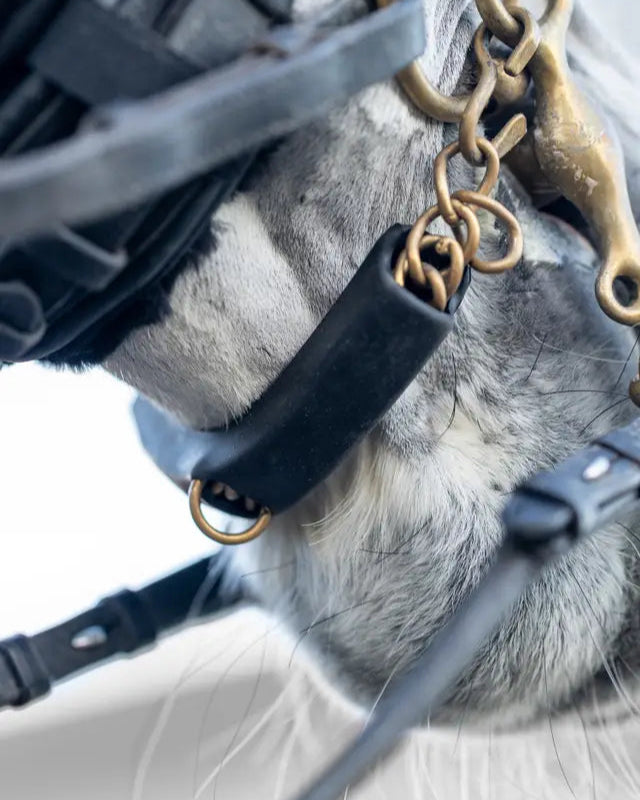 Lemieux Curb Chain Guard Black on Horse: Equestrian Protection & Comfort