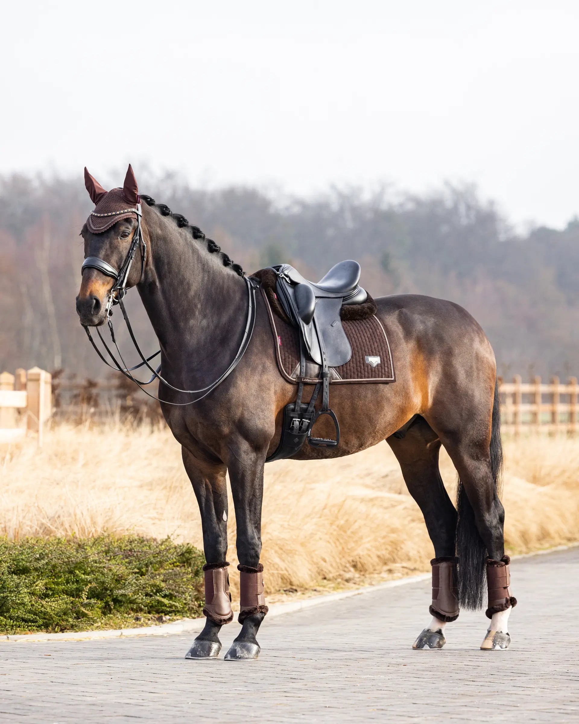 LeMieux Puissance Suede Dressage Square Brown