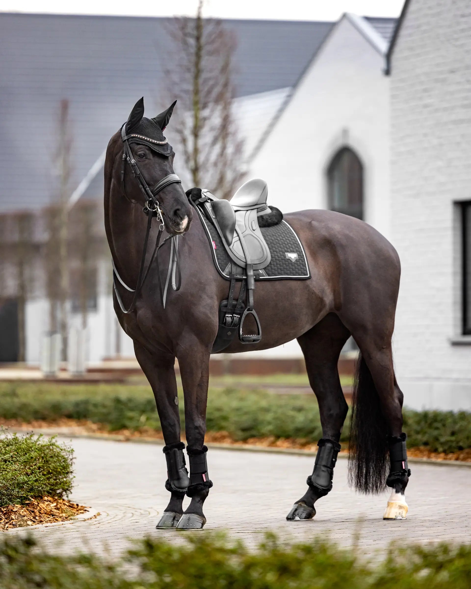 LeMieux Puissance Suede Dressage Square Black