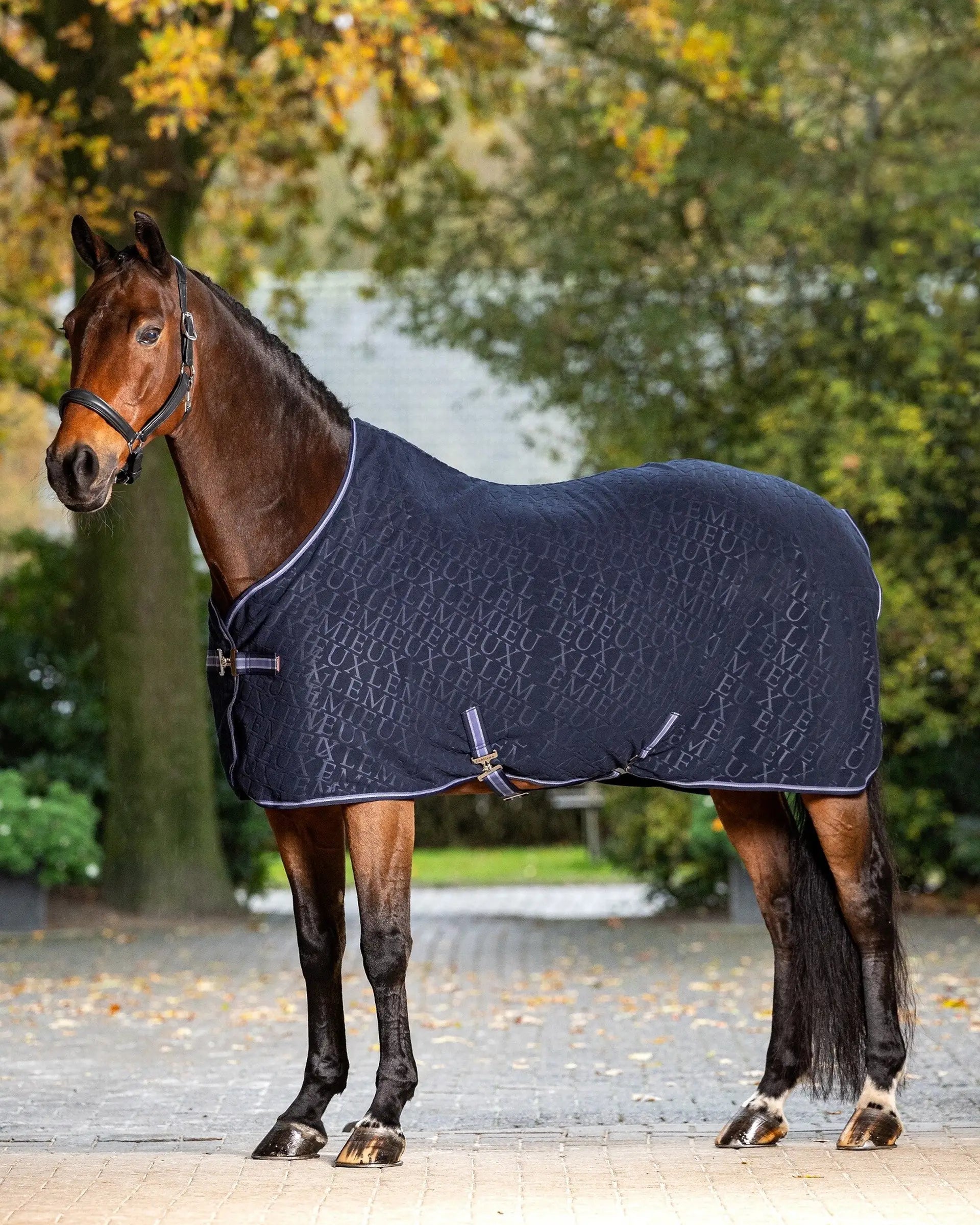 LeMieux Arika Monogram Fleece Rug Navy