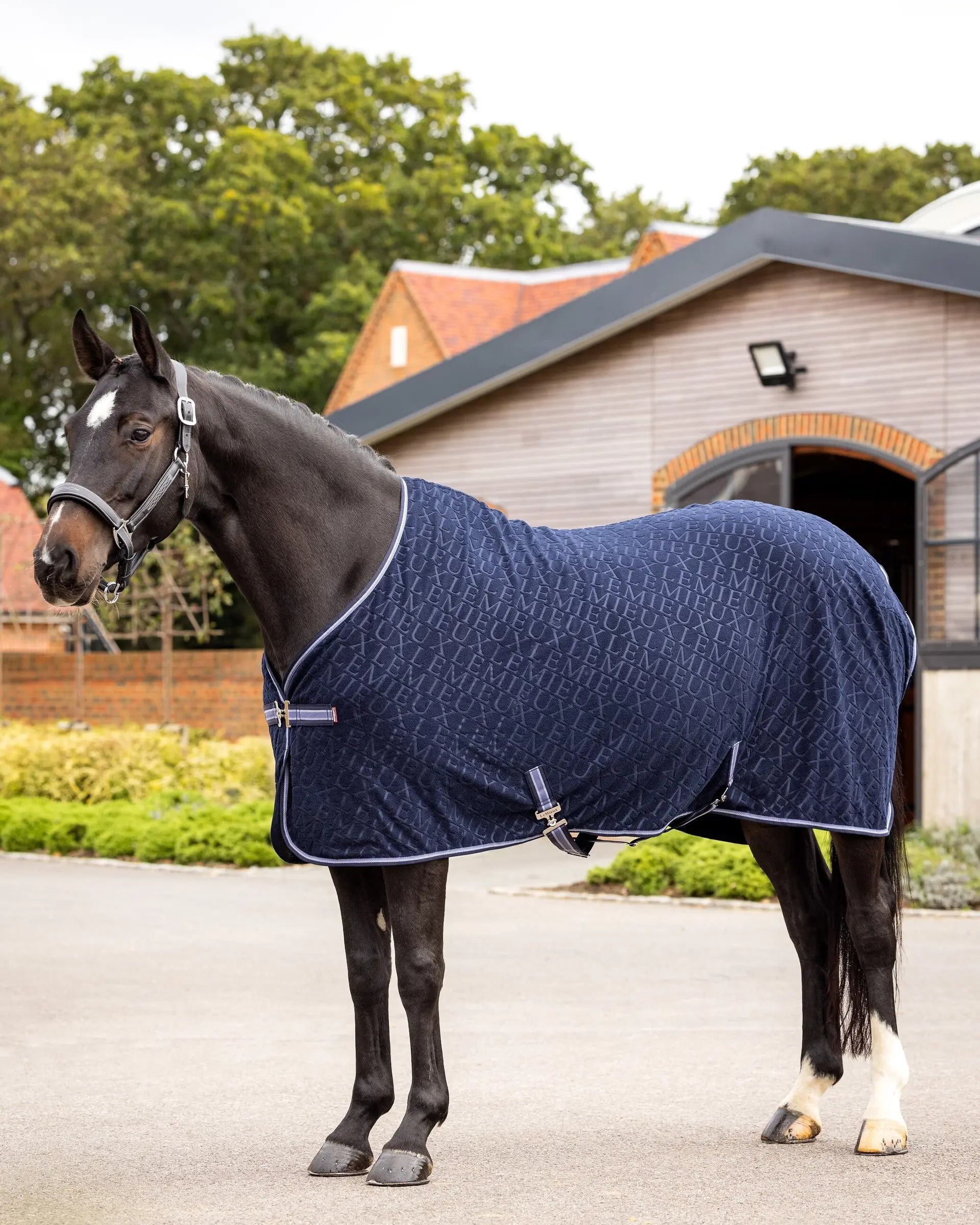LeMieux Arika Monogram Fleece Rug Navy