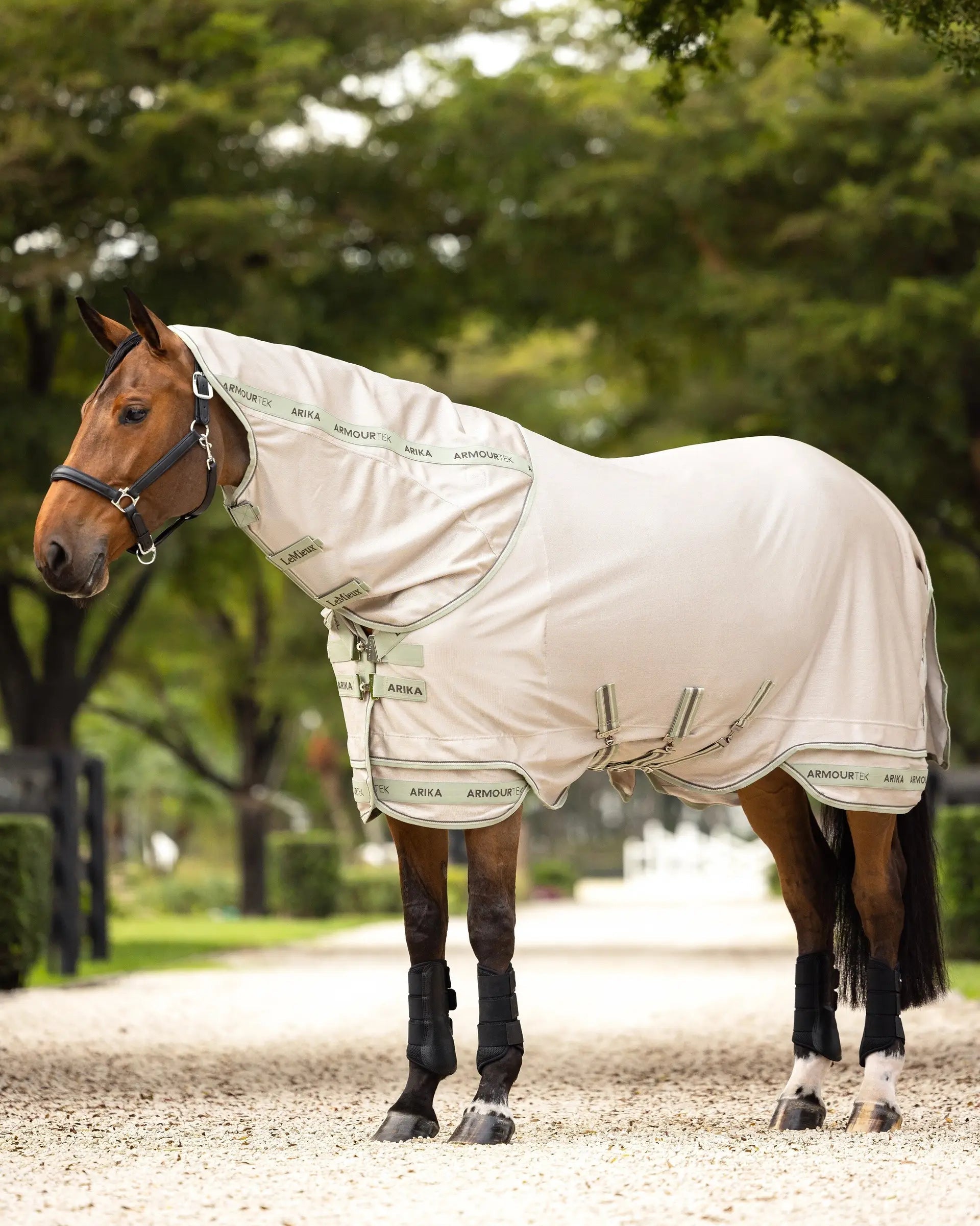 LeMieux Arika Armour-Tek Fly Rug Stone
