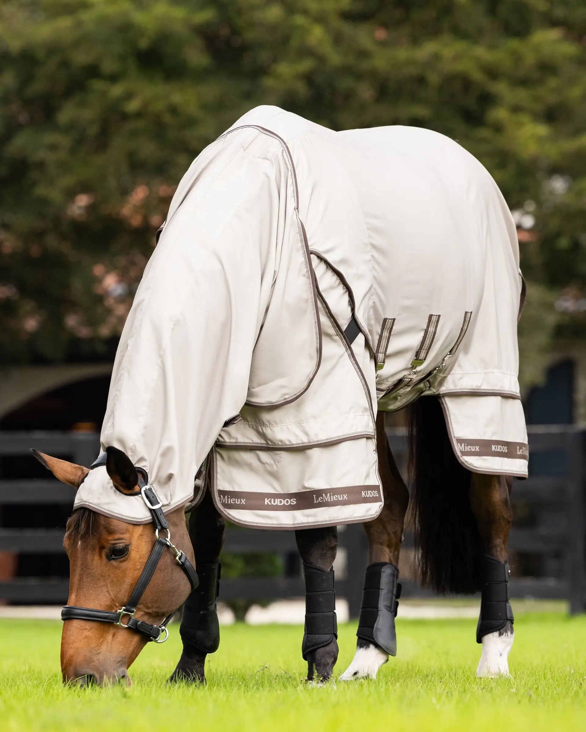 LeMieux Kudos Sweet Itch Rug - Stone - Horse Rug for Sweet Itch Protection at Equiflair Saddlery