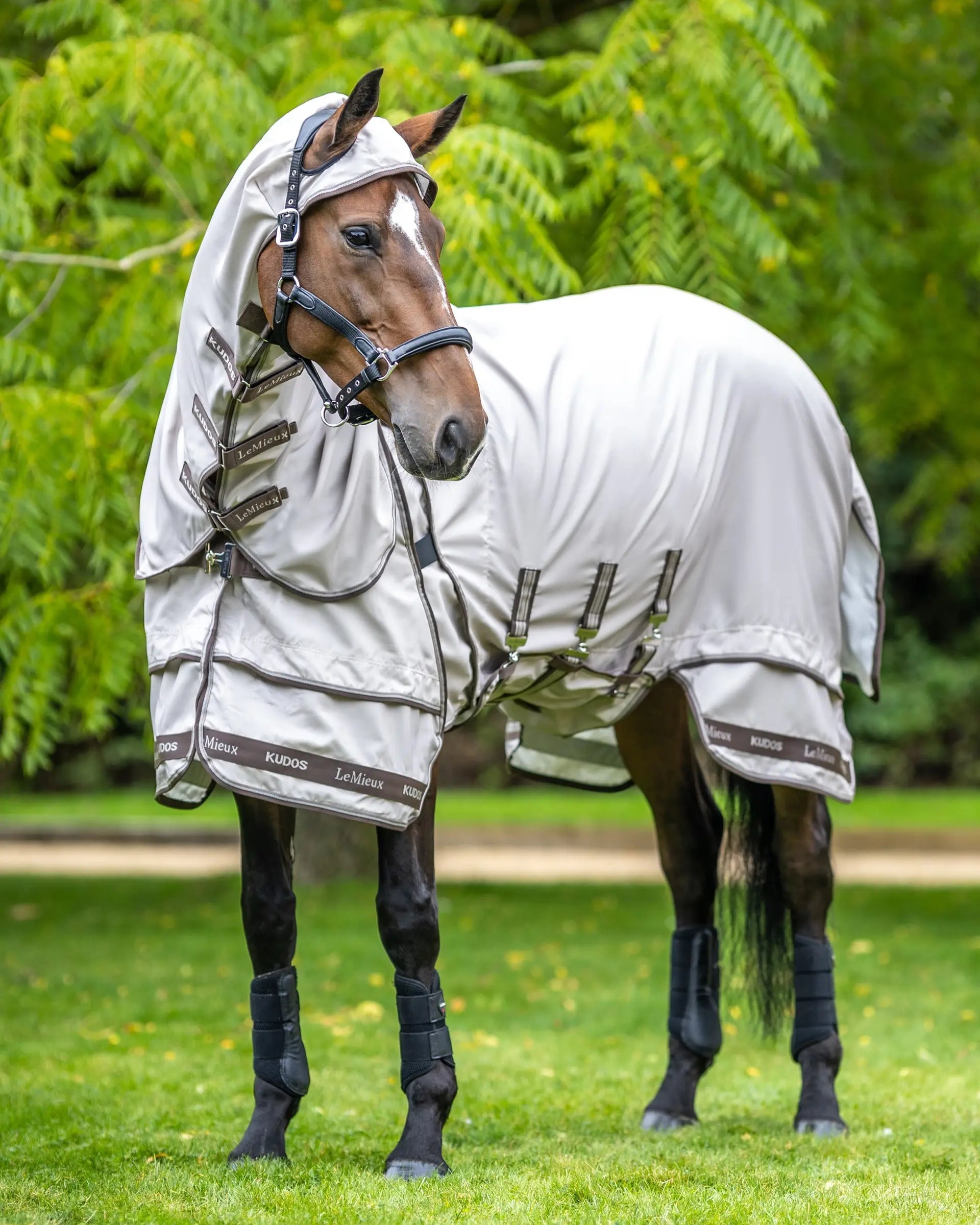 LeMieux Kudos Sweet Itch Rug: Stone Horse Protection - Bug & Itch Relief