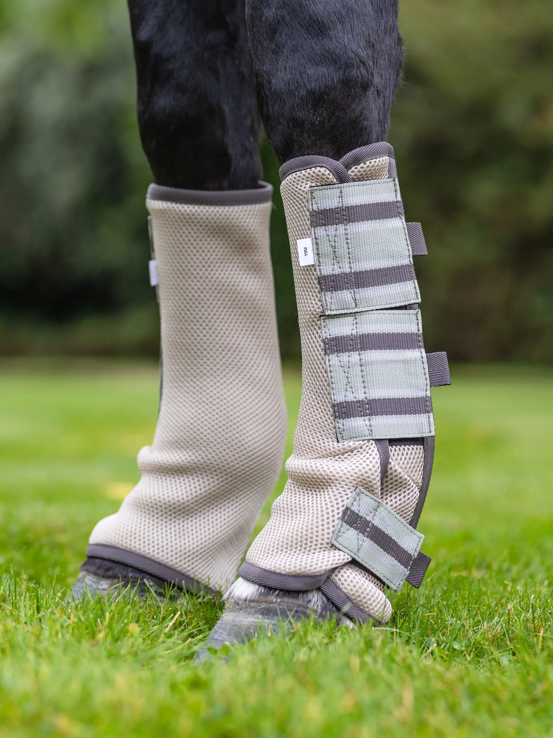 Lemieux Arika Mesh Fly Boots Stone - Horse Leg Protection, Fly & Insect Repellent, Set of 4. Shop Now!