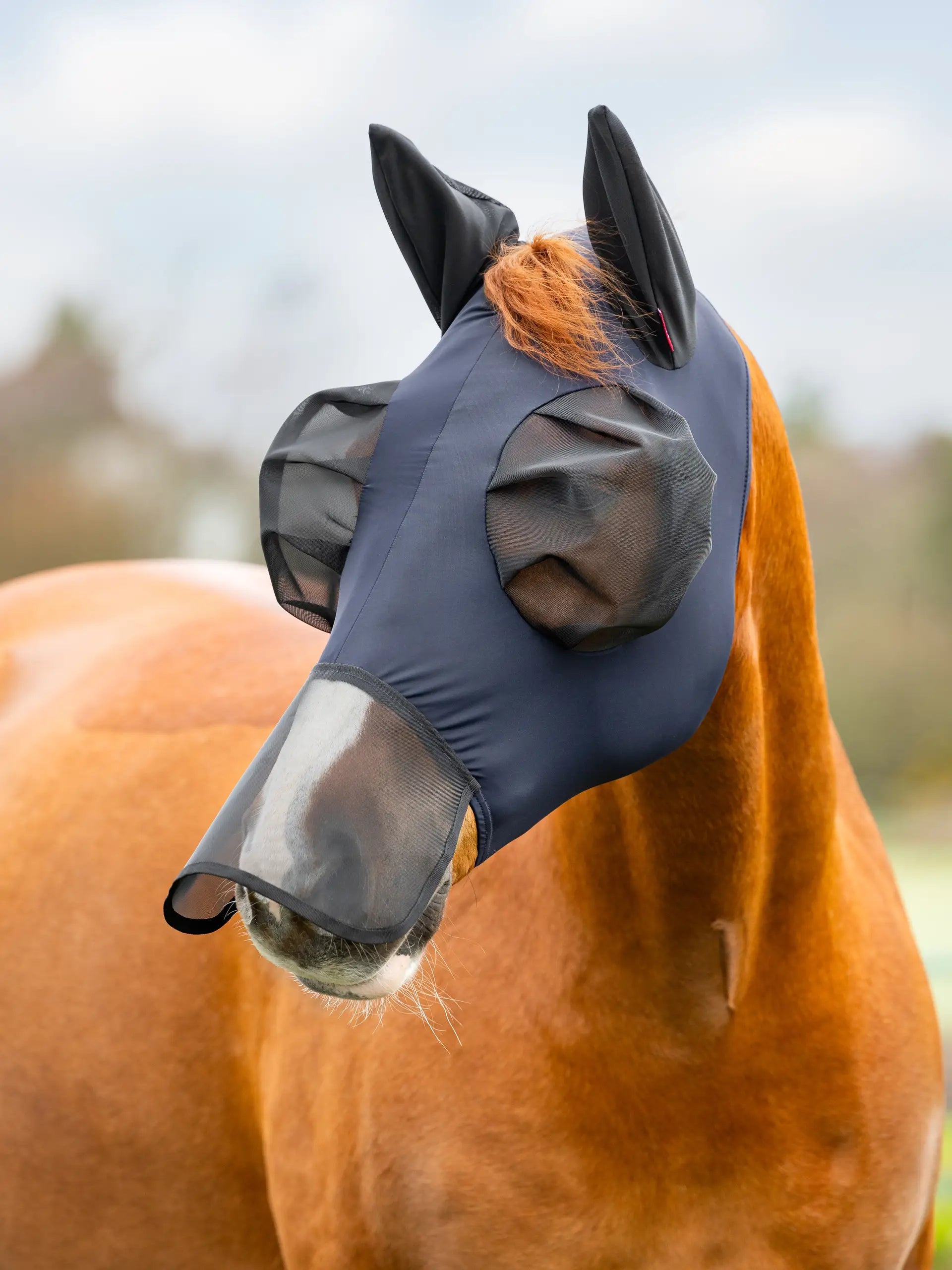 LEMIEUX BUG RELIEF FULL MASK NAVY - Equiflair: Horse fly mask providing UV protection, insect defense, breathable mesh.