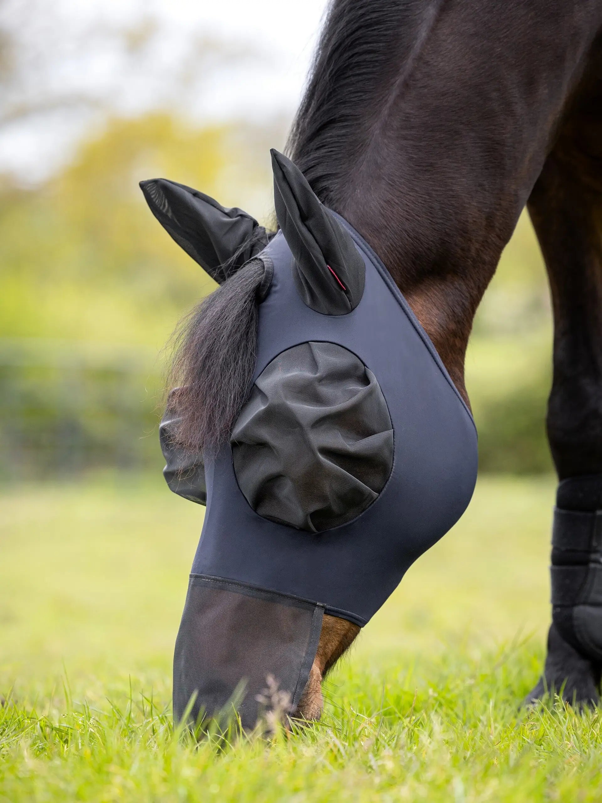 Horse wearing a LeMieux Navy Bug Relief Fly Mask for UV protection while grazing in a field. Equine care and comfort.