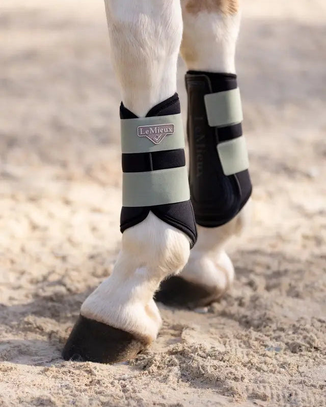 LEMIEUX GRAFTER FERN Brushing Boots - Equine Protective Horse Boots for Schooling & Competitions
