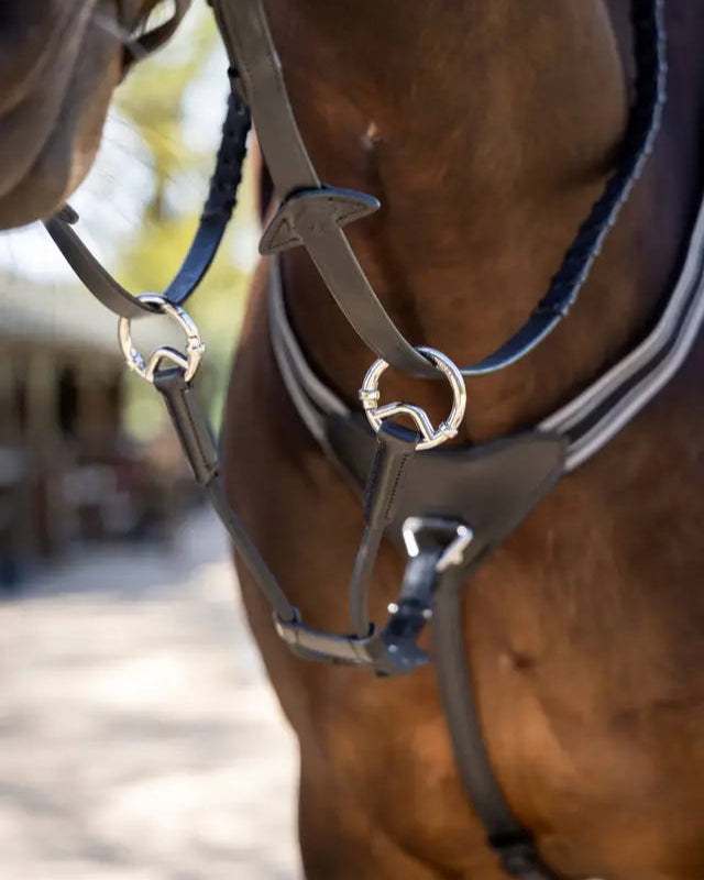 LeMieux Elasticated Martingale Attachment Black/Silver