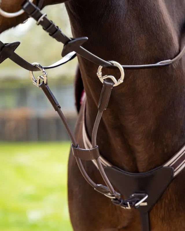 LeMieux Elasticated Martingale Attachment Brown/Silver