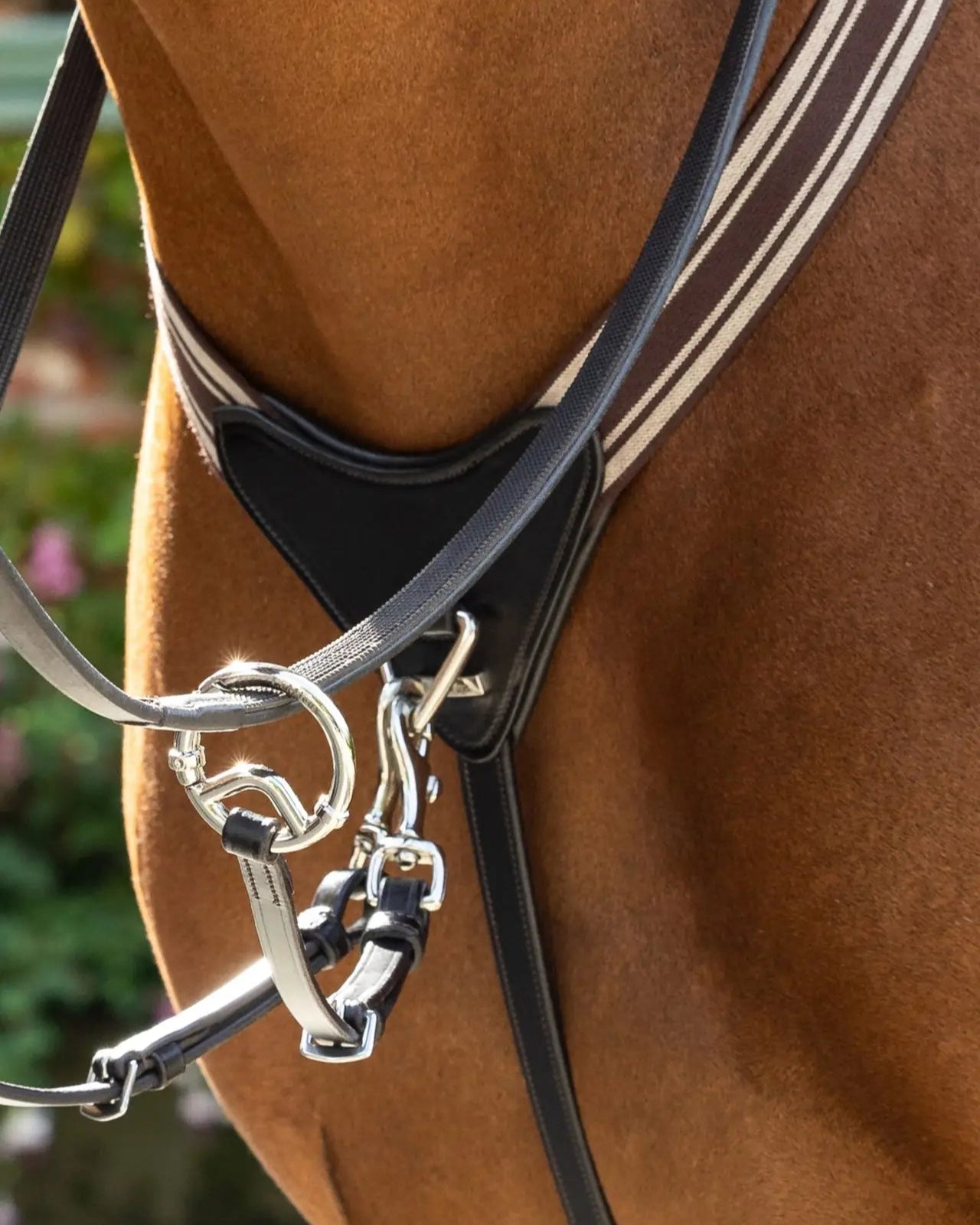 LEMIEUX Arika Elasticated Breastplate in Black/Silver on Horse - Prevents Saddle Slippage | Equiflair Saddlery