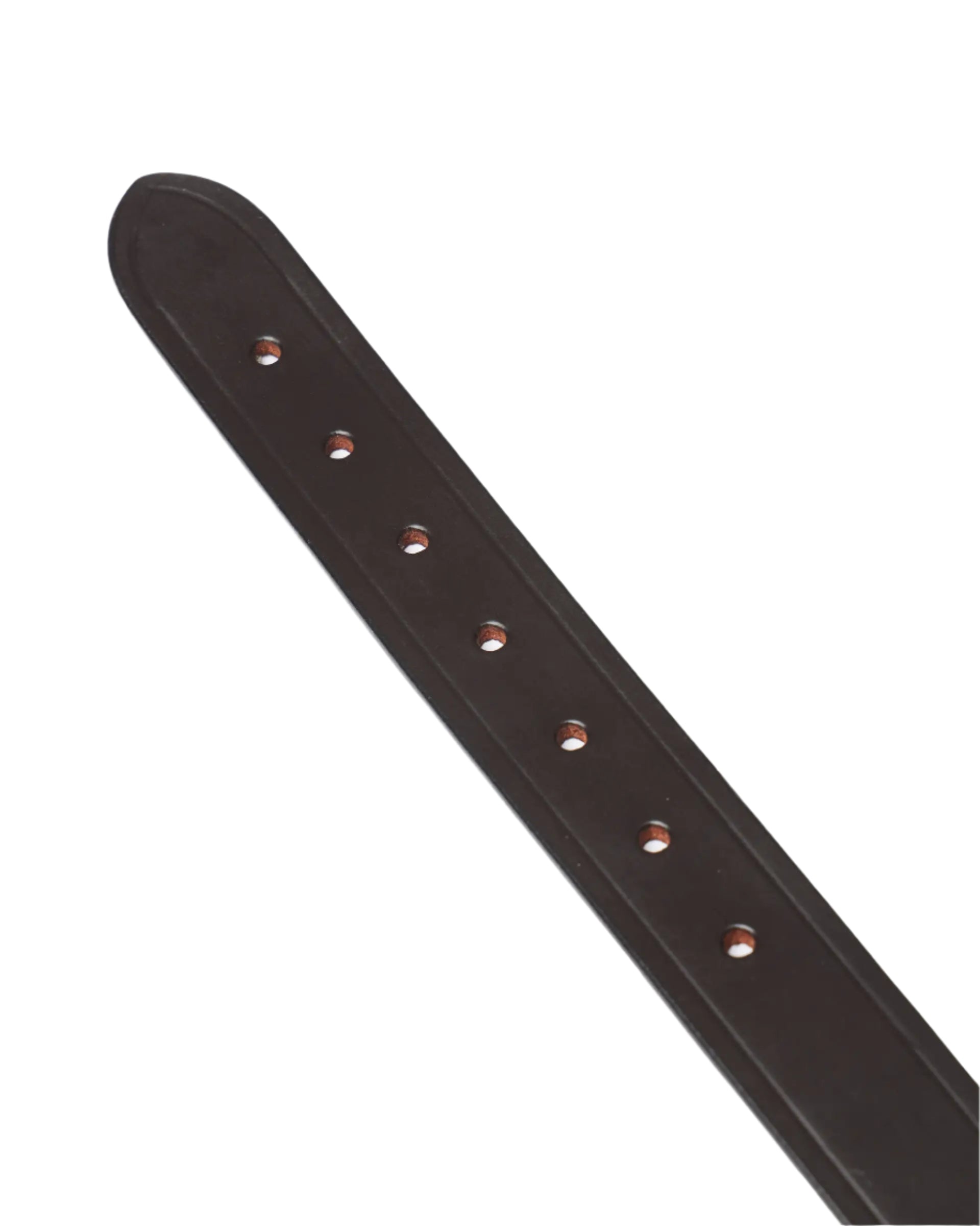 LeMieux Replacement Breakaway Headcollar Headpiece