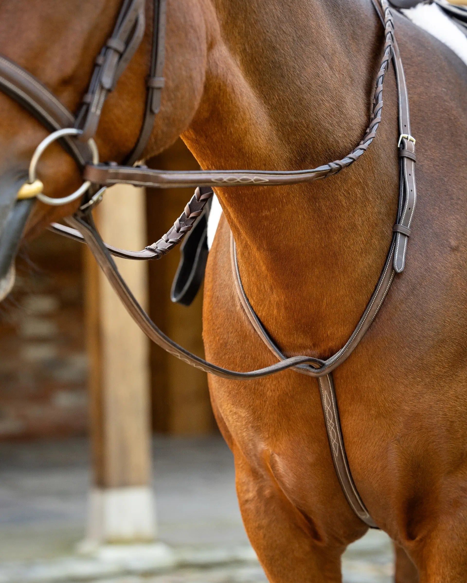 LeMieux Hunter Standing Martingale Havana/Silver