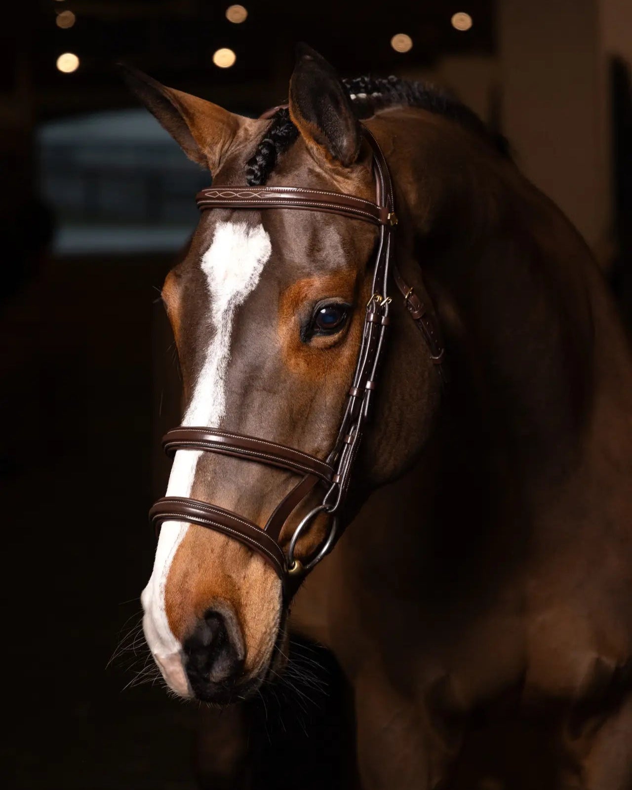 LeMieux Kudos Double Noseband Bridle Havana/Brass