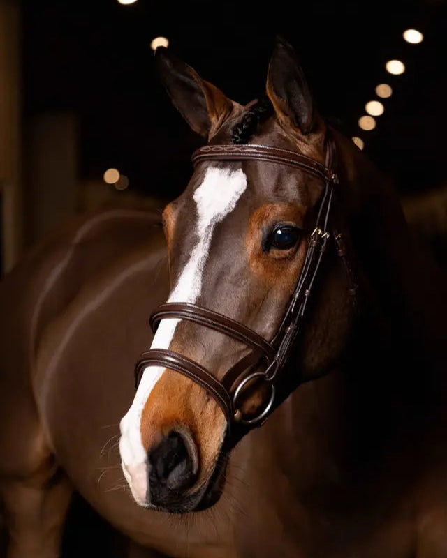 LeMieux Kudos Double Noseband Bridle Havana/Brass