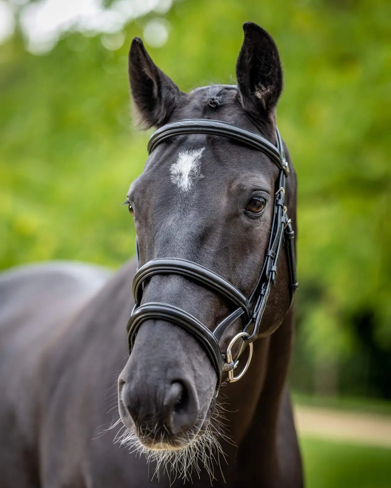 LeMieux Kudos Double Noseband Bridle Black/Silver