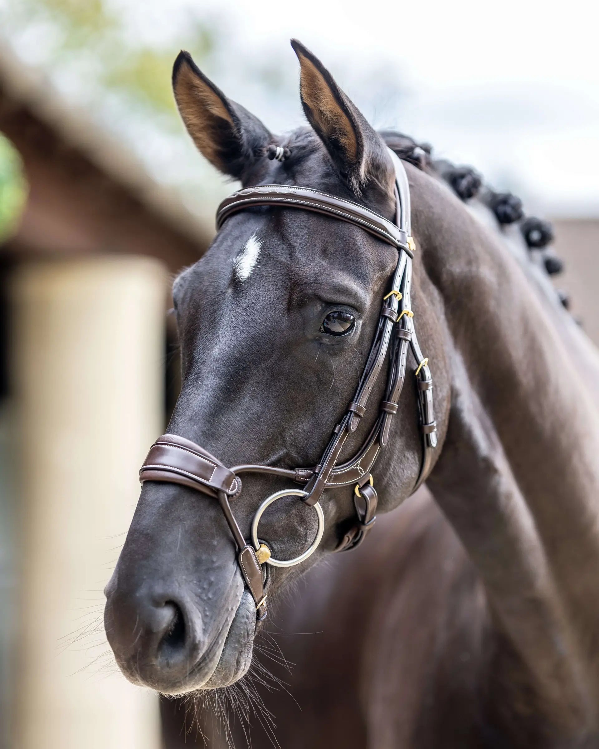 LEMIEUX KUDOS Arc Bridle Havana/Brass: Anatomical leather horse bridle for sensitive horses, minimizes pressure. #horsebridle #LEMIEUX