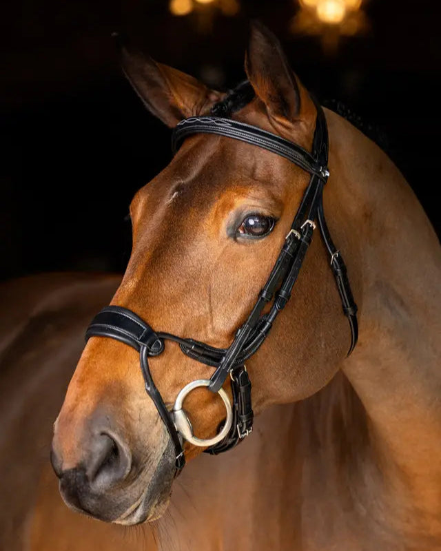 Lemieux Kudos Clear Arc Bridle: Black leather horse bridle with silver accents, anatomical design for optimal comfort & performance.
