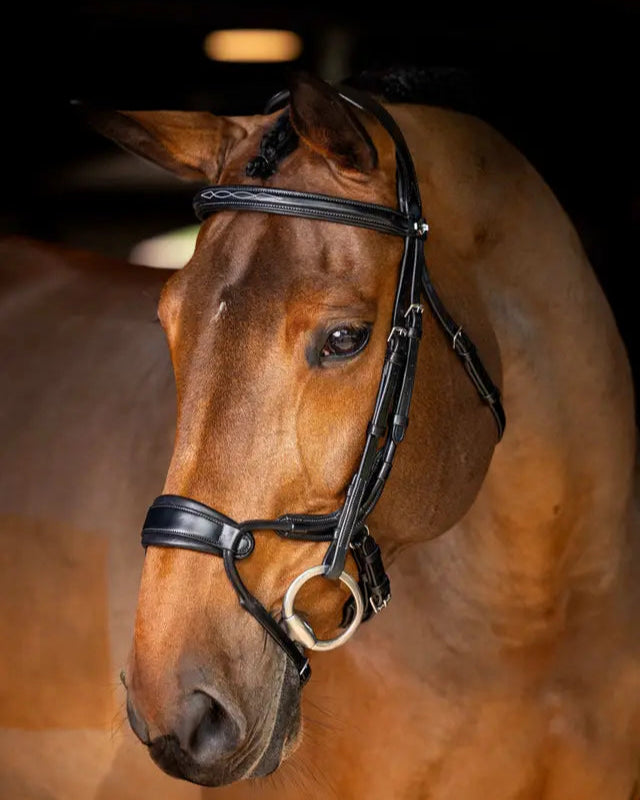 Lemieux Kudos Clear Arc Bridle: Anatomical Horse Bridle in Black Leather, FEI Compliant for Eventing, Jumping, & Dressage
