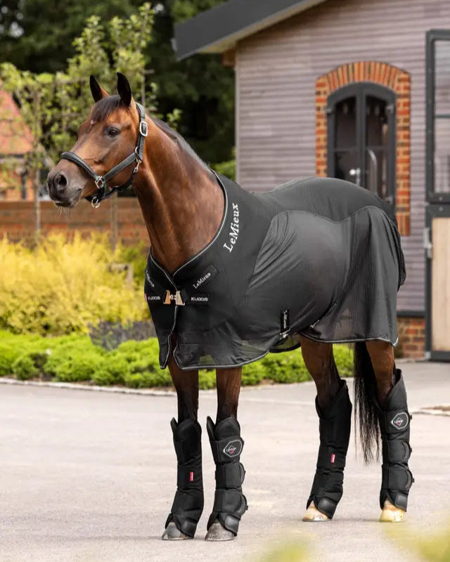LeMieux Black Travel Boots for Horses | Equiflair - Travel in style & protect your horse