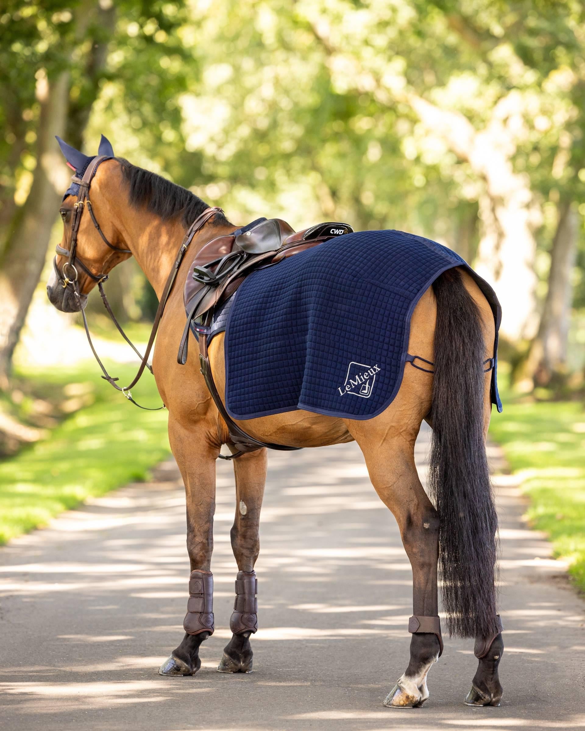LeMieux Clima-Tek Navy Exercise Quarter Sheet for Horse Riding Gear | Equiflair Saddlery