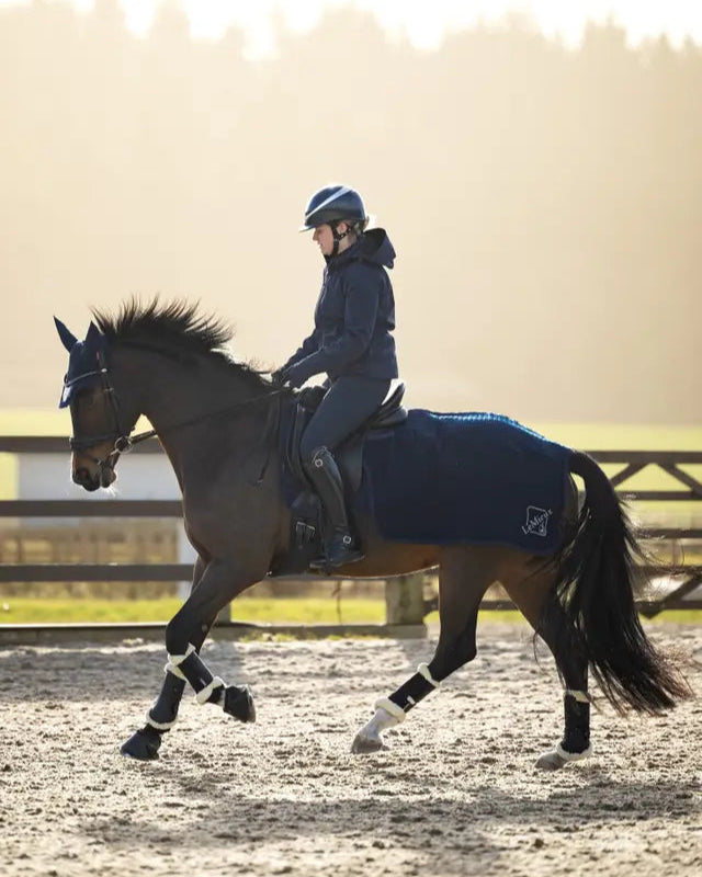LeMieux Clima-Tek Navy Exercise Quarter Sheet on Horse. Horseback Riding Gear. Equiflair Saddlery.