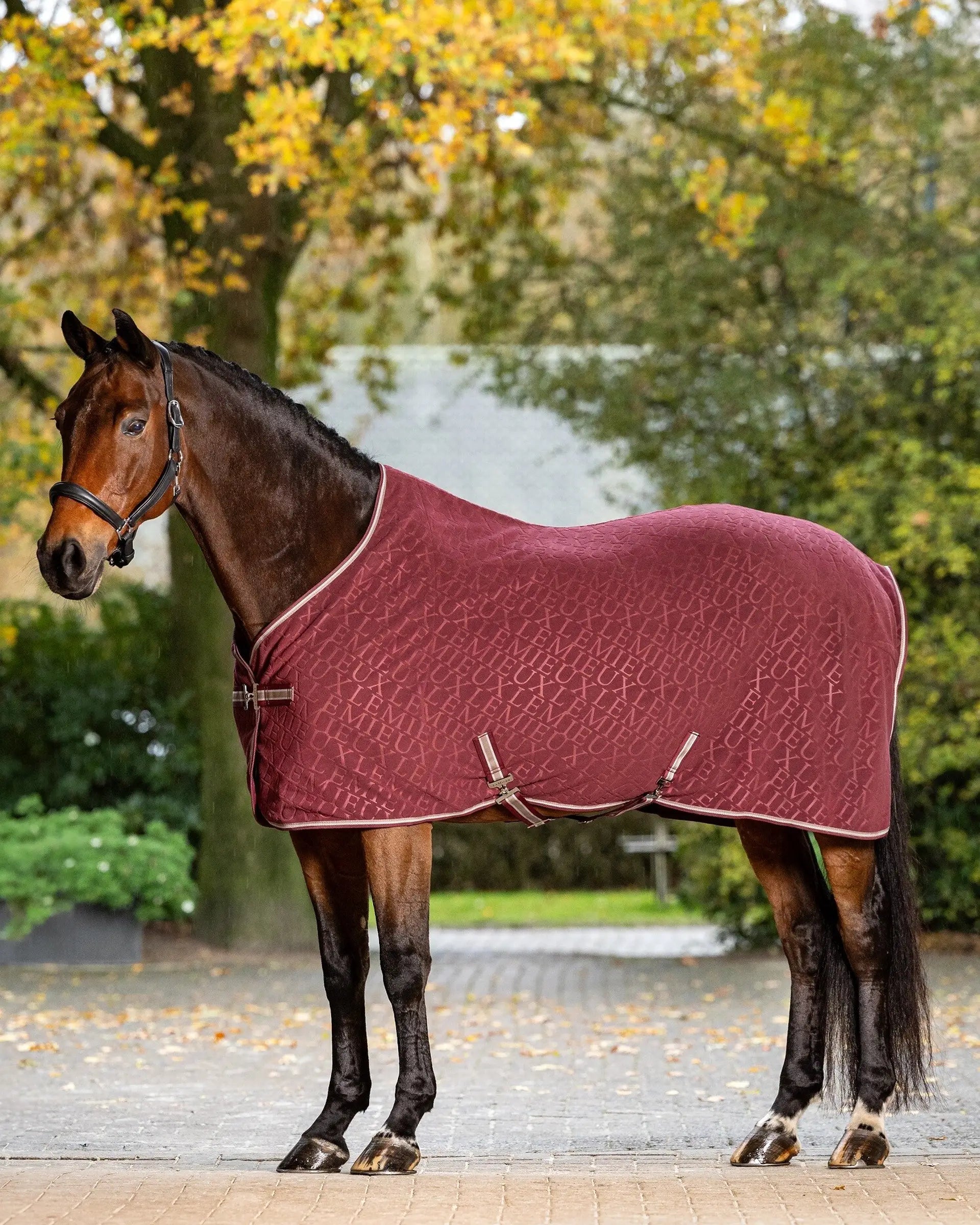 LeMieux Arika Burgundy Fleece Rug on Horse - Monogrammed, Anti-Pill, Anti-Static, Equestrian Stable Rug