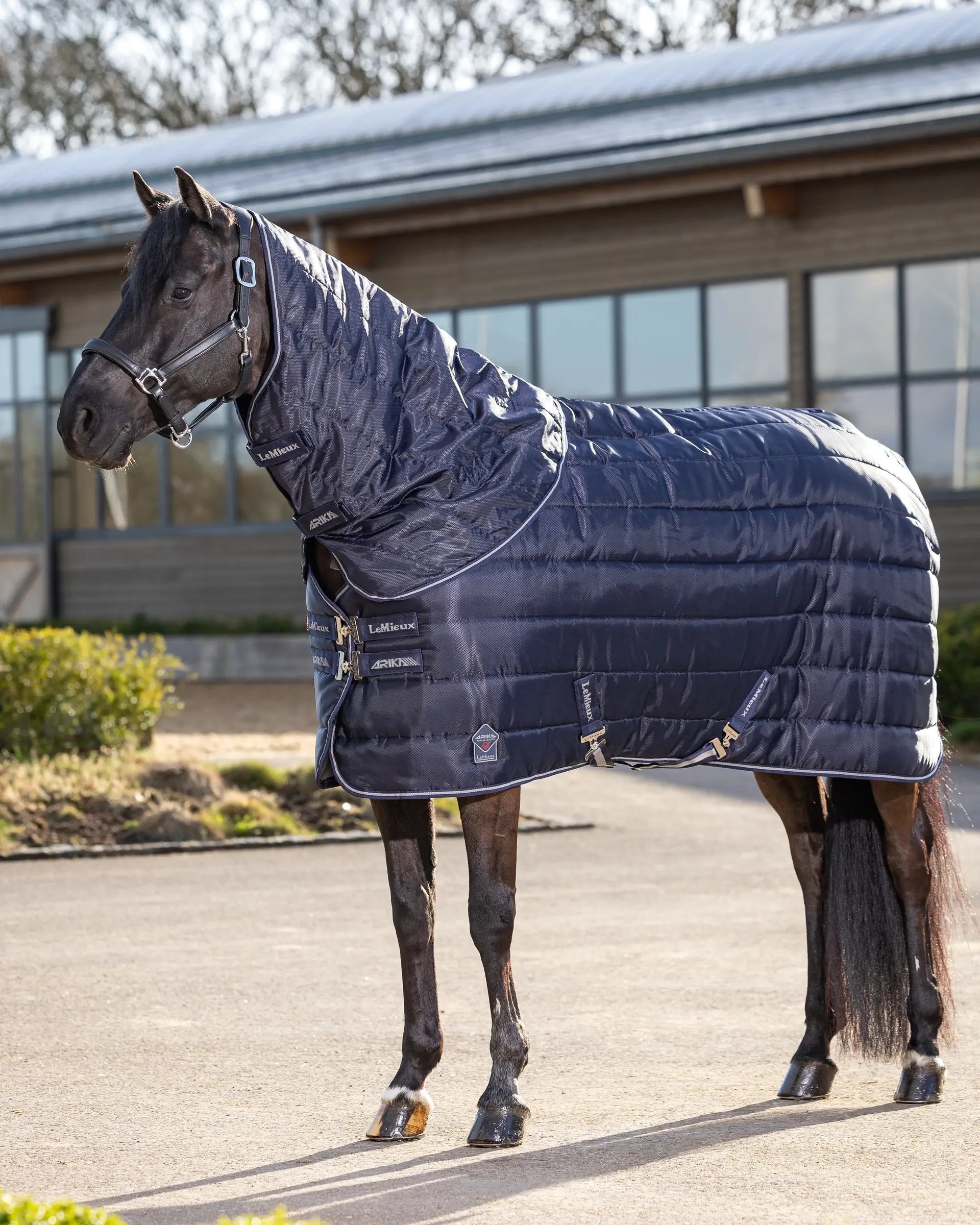 LeMieux Arika Stable-Tek 350g Horse Rug: Durable, Quilted, Warm. Horse Blanket for Stable or Travel. Equiflair Saddlery