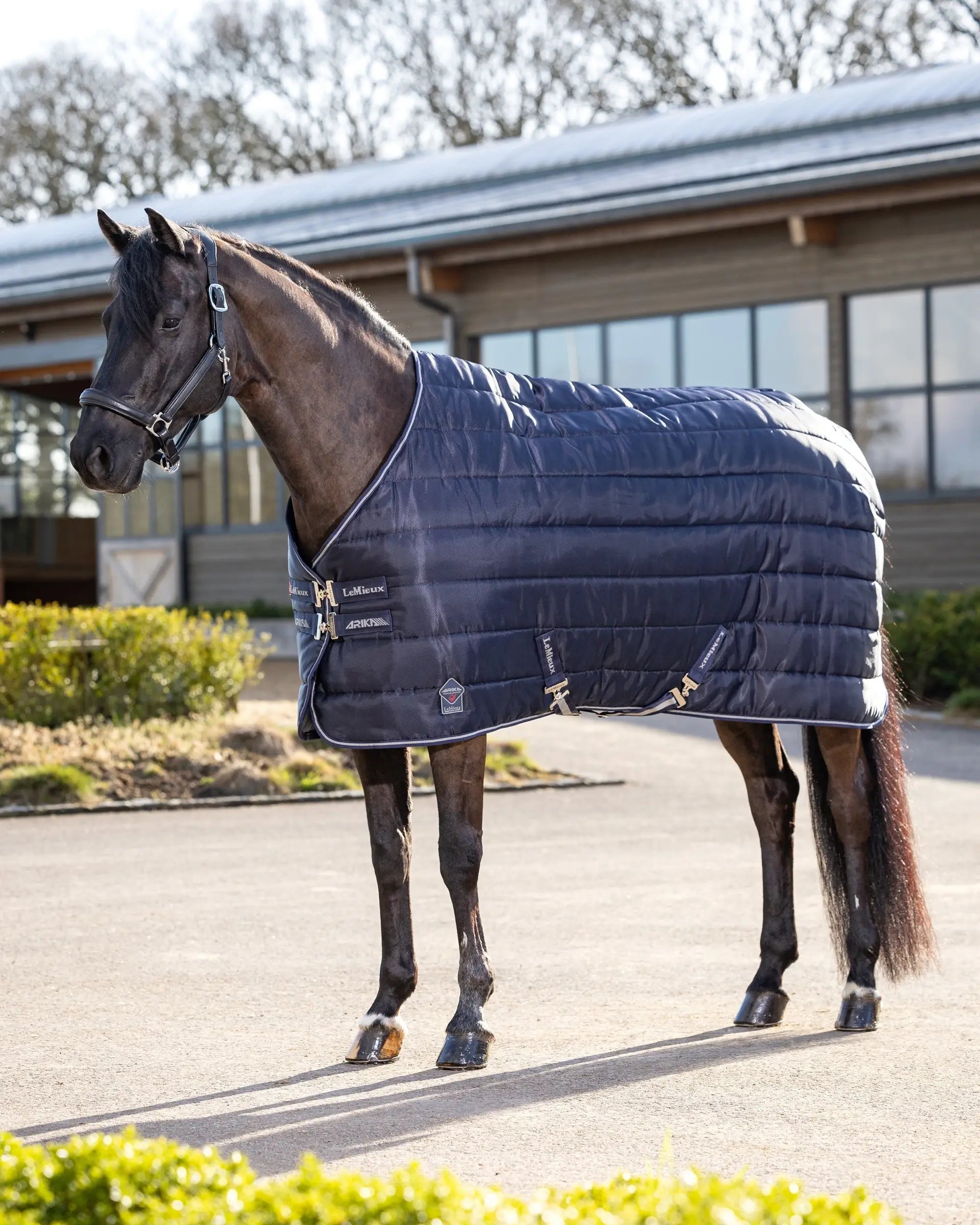 LEMIEUX ARIKA Stable-Tek 350g Horse Rug - Durable Quilted Blanket for Stables and Turnout