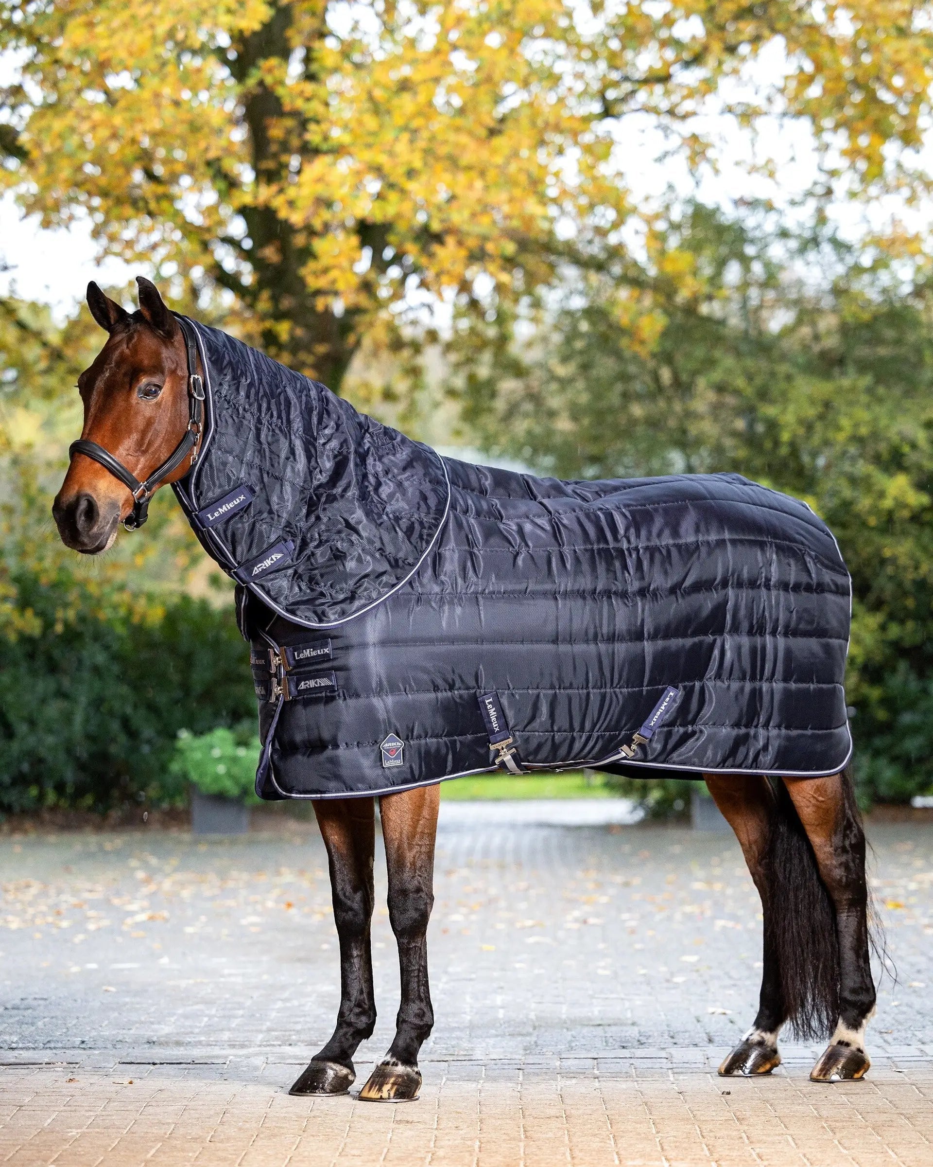 LeMieux Arika Stable-Tek Neck Cover 100g