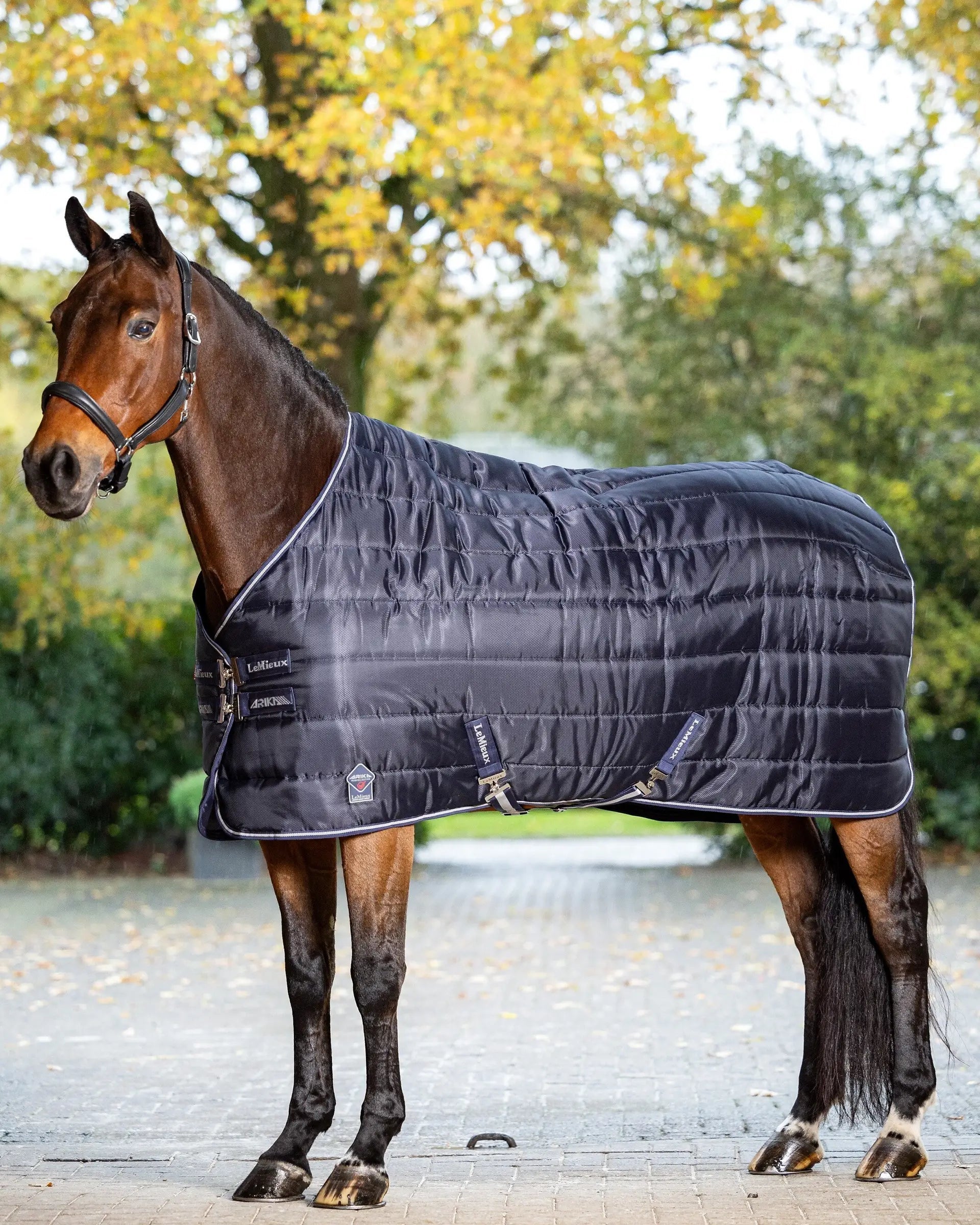LeMieux Arika Stable-Tek 100g