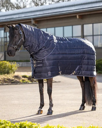Black horse wearing a Lemieux Arika Stable-Tek 200g neck cover for stable use. Equine neck rug, horse wear.