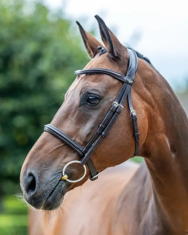 LeMieux Arika Cavesson Bridle Brown/Silver