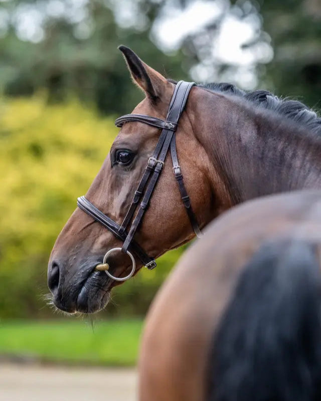 LeMieux Arika Cavesson Bridle Brown/Silver