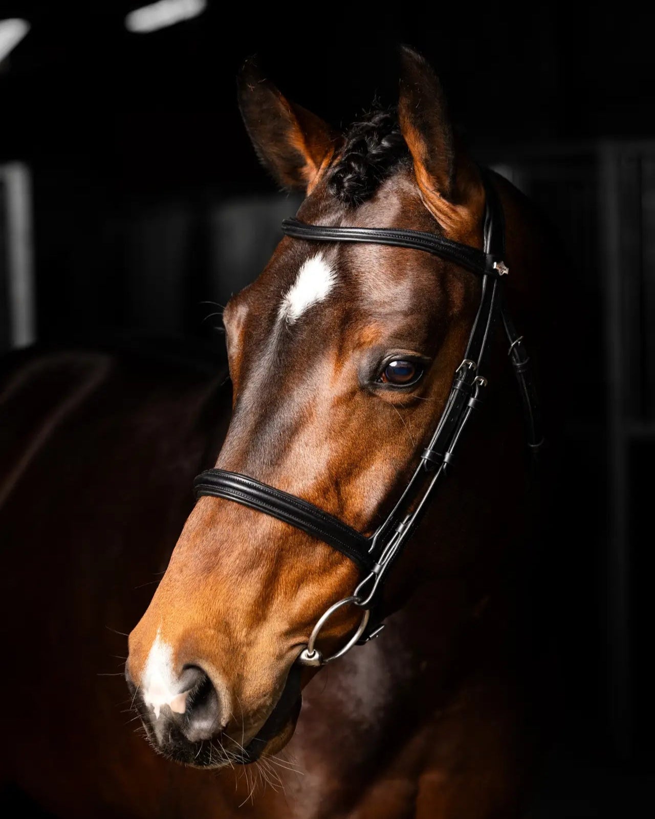 LeMieux Arika Cavesson Bridle Black/Silver